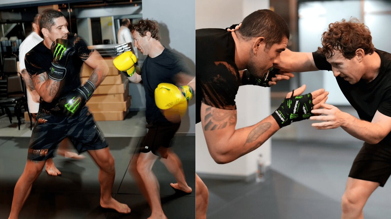 Mark Zuckerberg vs Alex Pereira Sparring Session