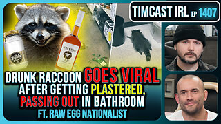 Drunk Raccoon Becomes Top US Story After Getting Plastered, Passing Out In Bathroom | Timcast IRL