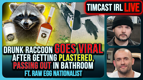 Drunk Raccoon Becomes Top US Story After Getting Plastered, Passing Out In Bathroom | Timcast IRL