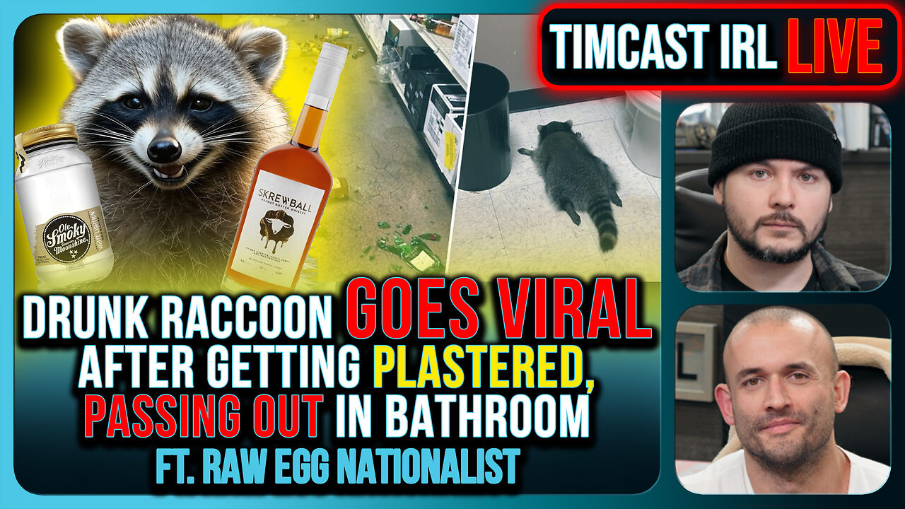 Drunk Raccoon Becomes Top US Story After Getting Plastered, Passing Out In Bathroom | Timcast IRL