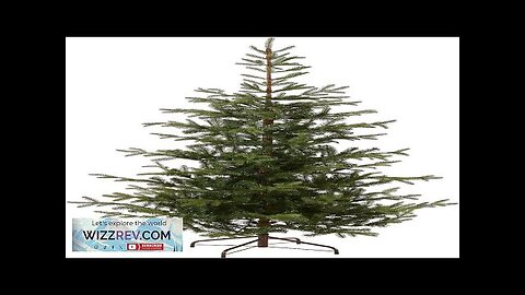 National Tree Company 'Feel Real' Artificial Christmas Tree Norwegian Spruce Tree Review