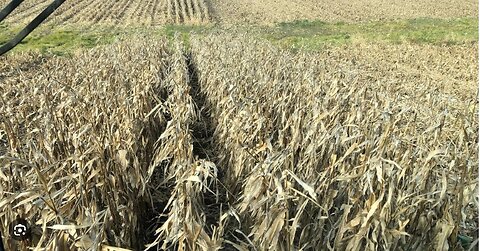 More Pain for Farmers as Shutdown Halts USDA Payments