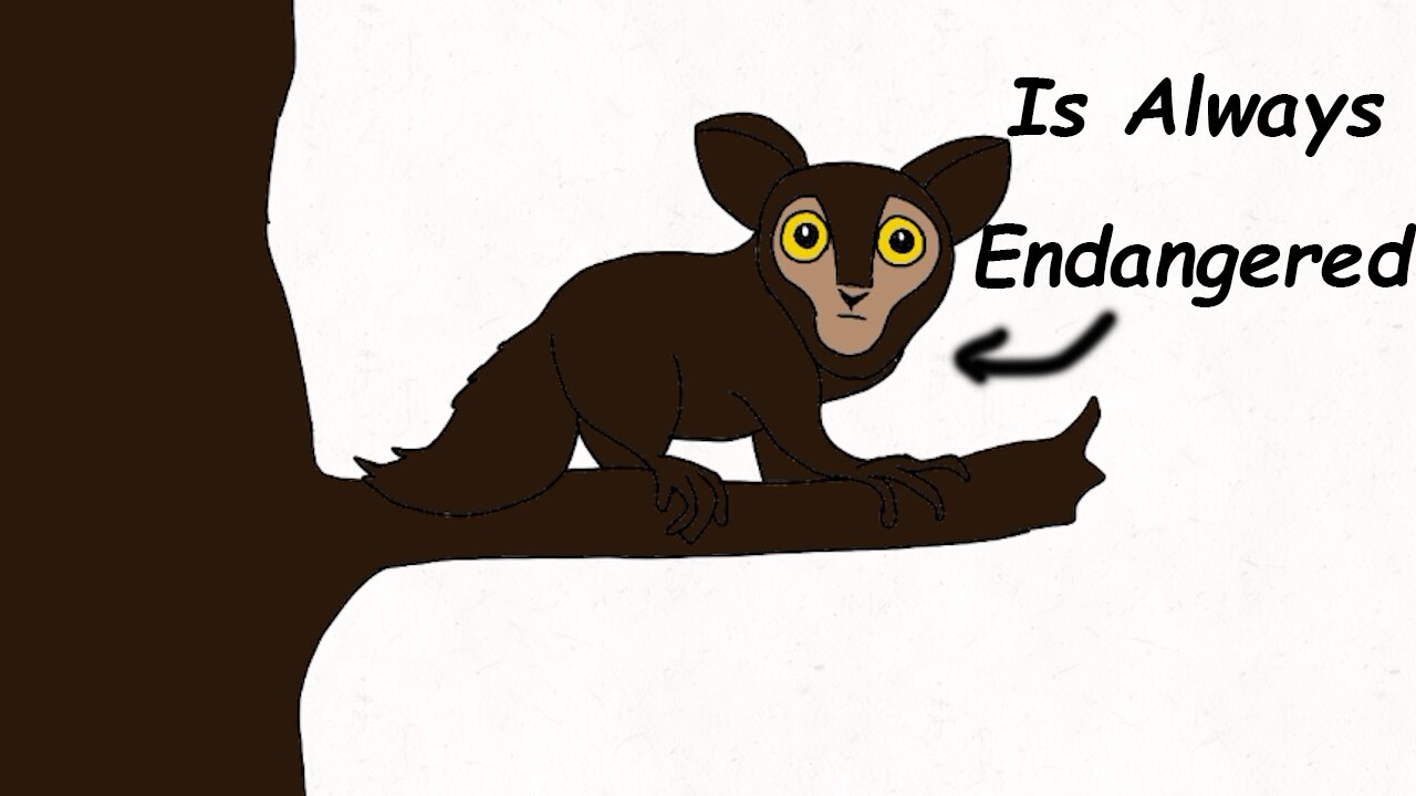 Why it sucks being born as an aye aye