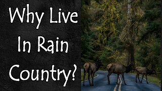 Why We Choose to Stay