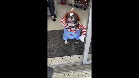 Happy Halloween From Chuckules! | 4K