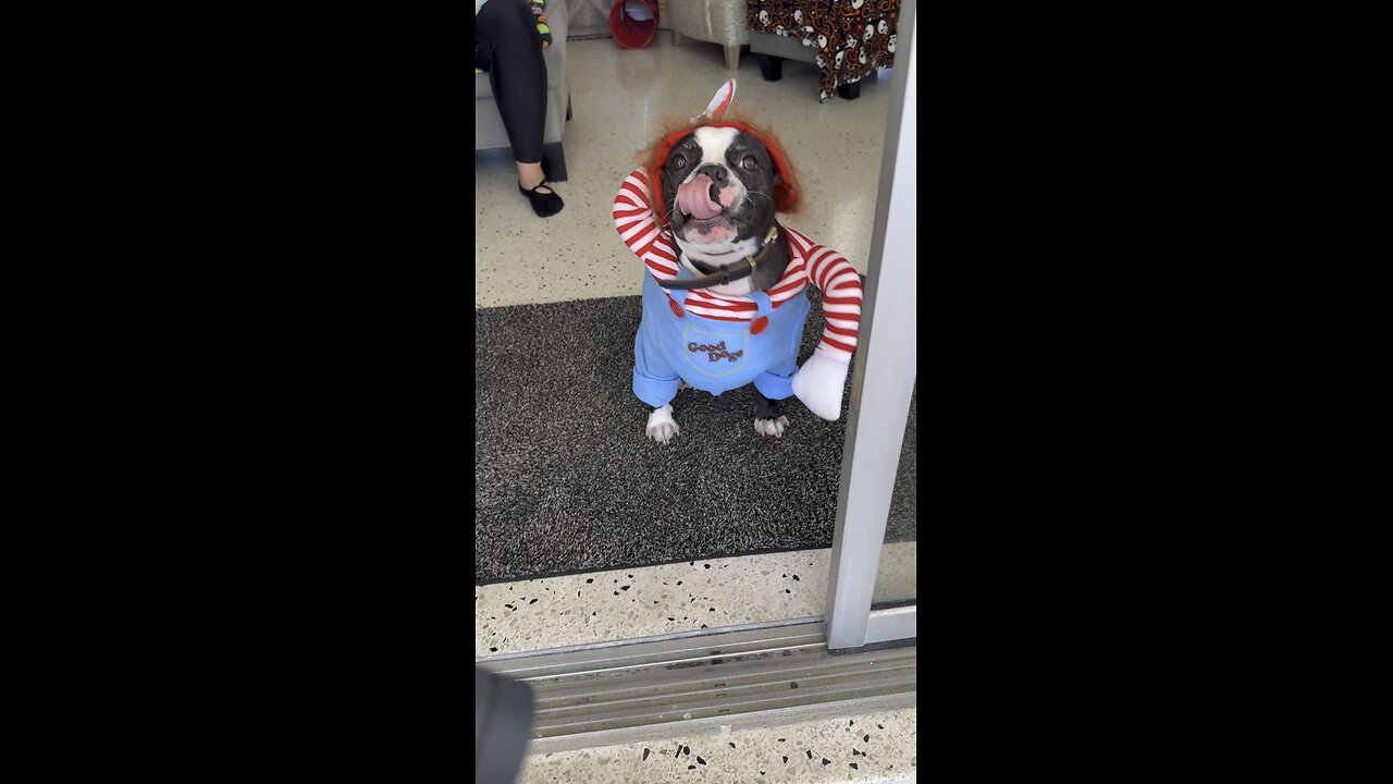 Happy Halloween From Chuckules! | 4K