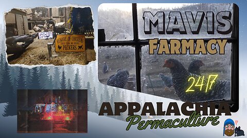 Cold Snowy Days : Live on the Farm : 🐓🦆🐝🐇🐖