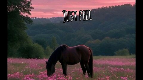 Just feel the music