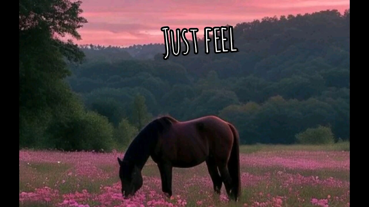 Just feel the music