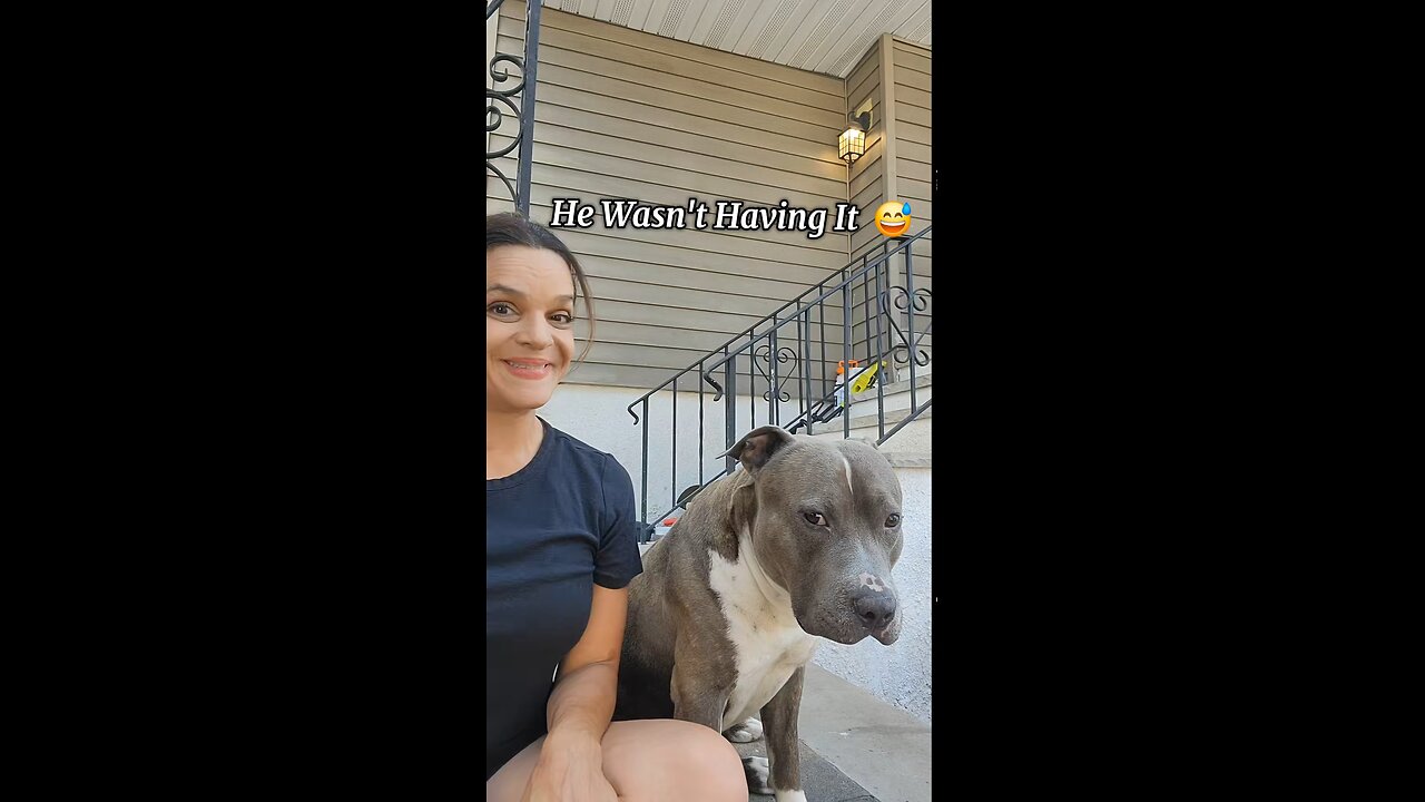 what a lovely dog it’s so happy
