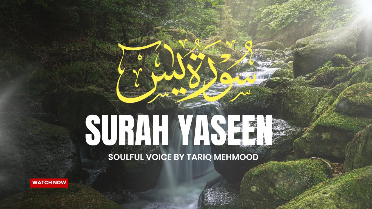 Surah Yaseen | Beautiful Recitation of Holy Quran #islamicvideo