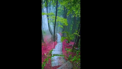 🌧️I LOVE RAIN / HAIL SOUNDS 🌧️