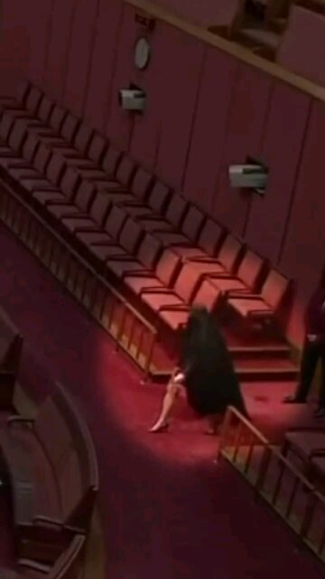 Australian Senator Pauline Hanson entered Parliament wearing a burqa