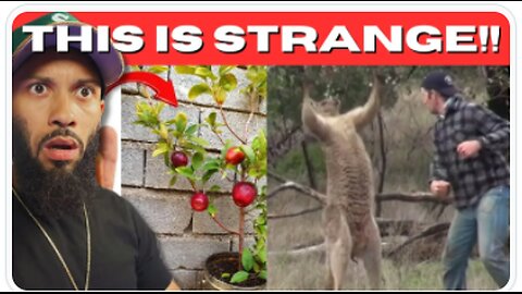CREEPY AND STRANGE TIKTOKS SUBSCRIBERS SENT ME THAT WILL MAKE YOU QUESTION REALITY! - Wright7x