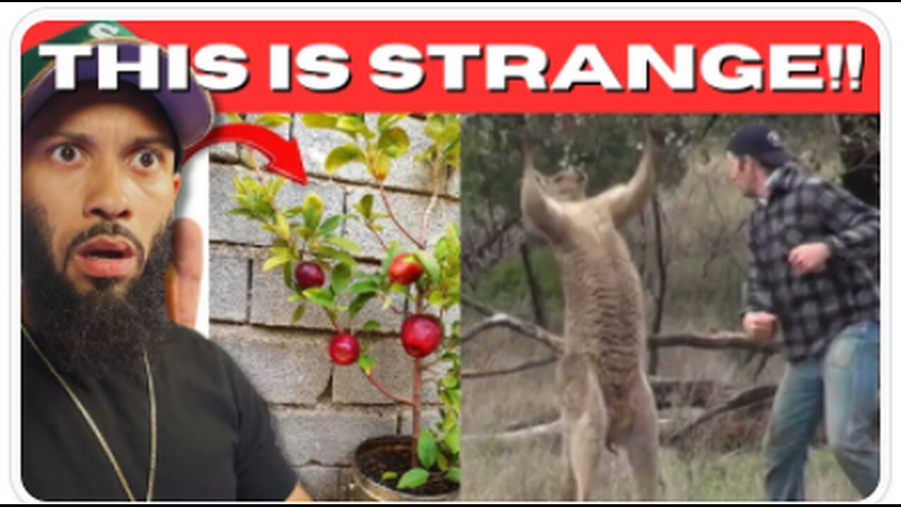 CREEPY AND STRANGE TIKTOKS SUBSCRIBERS SENT ME THAT WILL MAKE YOU QUESTION REALITY! - Wright7x