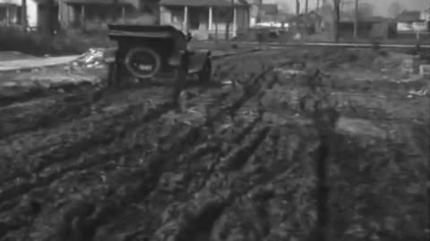 Big Trees Yellowstone... - Big Trees Yellowstone Park Where and How Fords Are Made, Par - fc-fc-2608