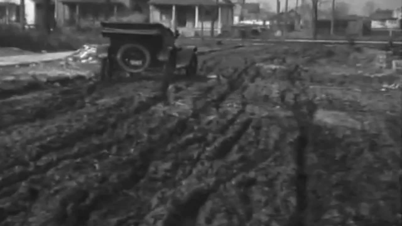 Big Trees Yellowstone... - Big Trees Yellowstone Park Where and How Fords Are Made, Par - fc-fc-2608