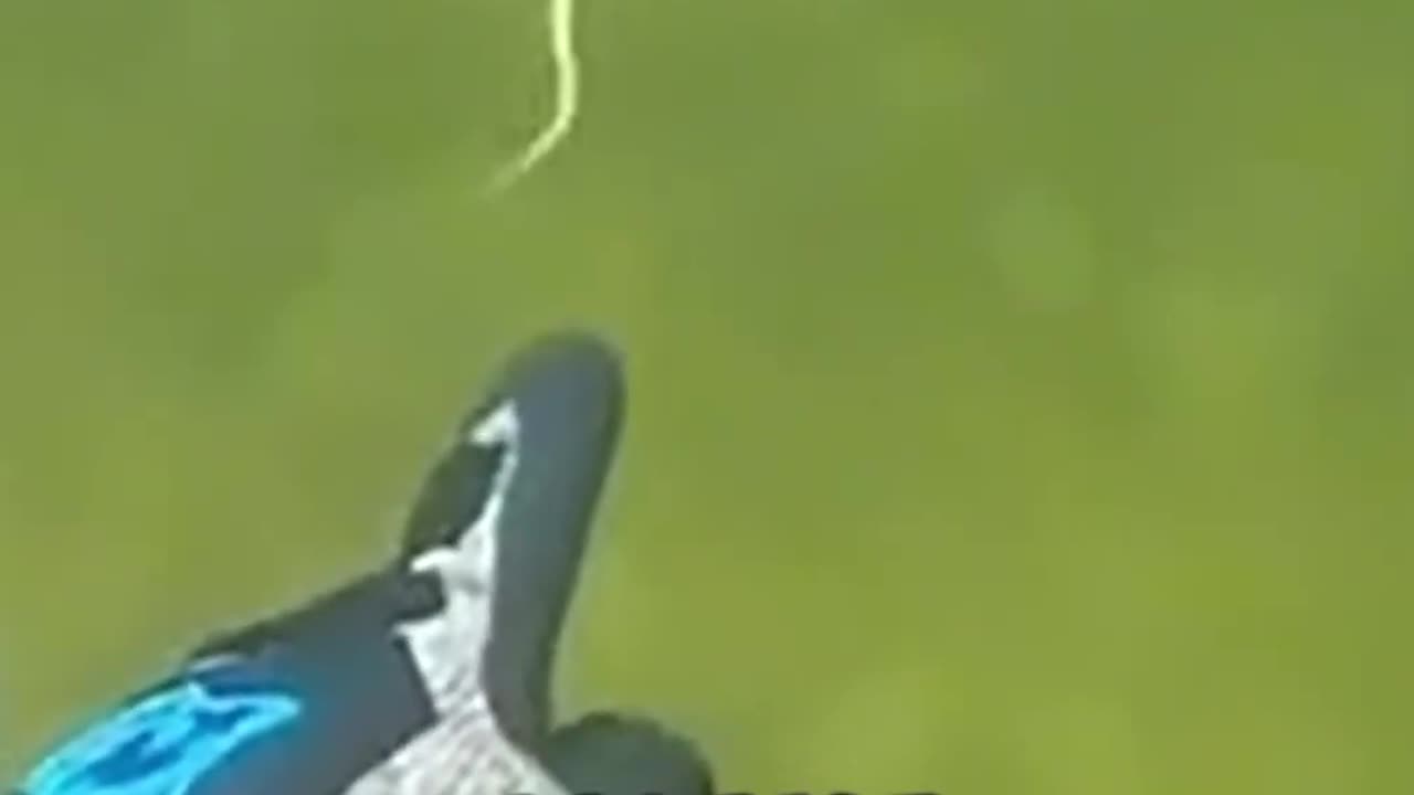 The Diving Mistake Nobody Talks About