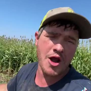 This man trolled the entire left - Said Trumps tariffs are hurting his splorn farm