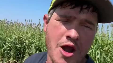This man trolled the entire left - Said Trumps tariffs are hurting his splorn farm