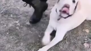 😂 First Day of Being a Cadet: Hilarious Missteps! | FunFM