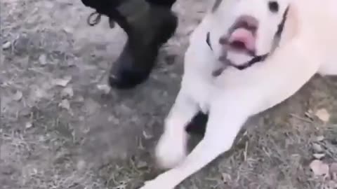 😂 First Day of Being a Cadet: Hilarious Missteps! | FunFM