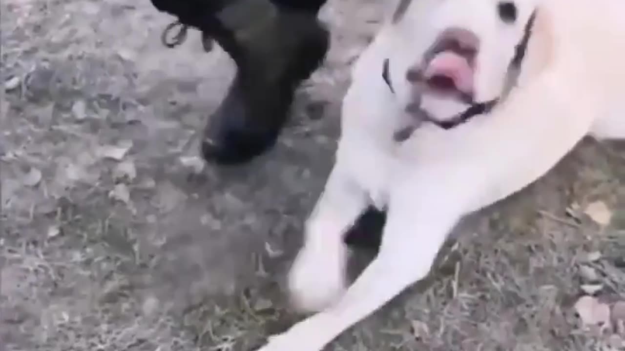 😂 First Day of Being a Cadet: Hilarious Missteps! | FunFM