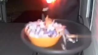 😂😂 You Won't Believe This Kid's Hilarious Oops Moment! | FunFM