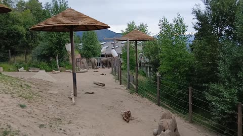 Cheyenne Mountain Zoo Part 18