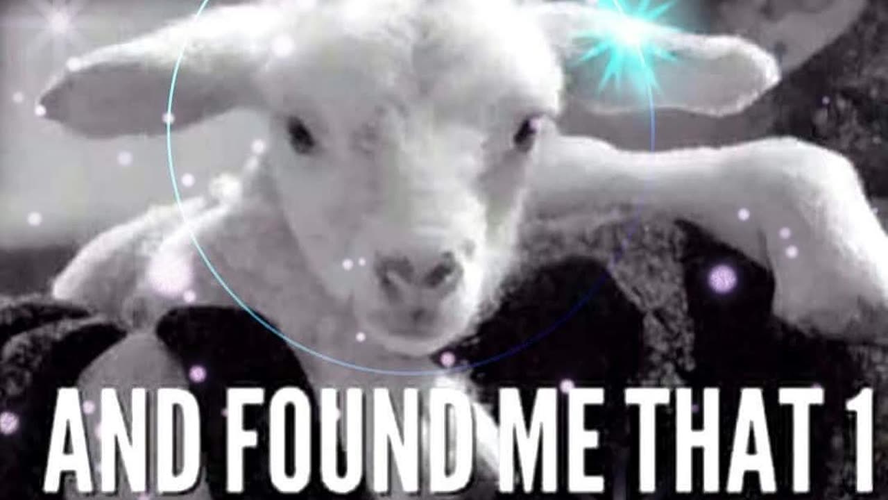 THE BURDEN OF SIN - DAILY DEVOTIONAL ❤️