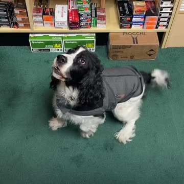 #MurphDocU: #Colorado #Democratic leaders are crushing #small-businesses