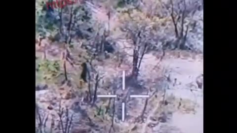 Russian Ukrainian War