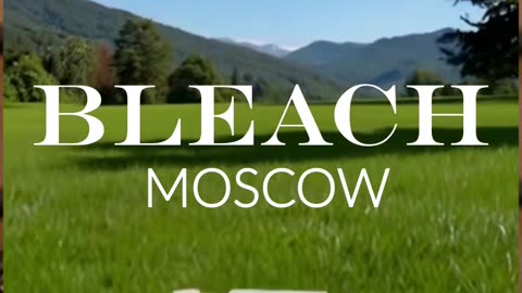 Когда домашние методы не помогают: пора в мастерскую!