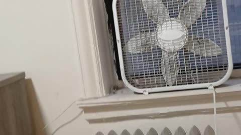 New York Venezuleans have mixed feelings about Trump operation to oust Maduro