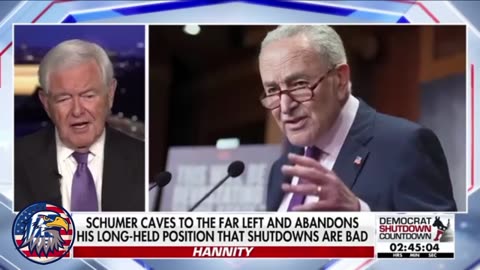 'THIS IS INSANITY': Newt Gingrich ridicules Dems' handling of shutdown on Capitol Hill