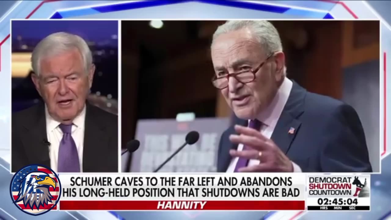 'THIS IS INSANITY': Newt Gingrich ridicules Dems' handling of shutdown on Capitol Hill