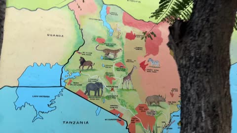 Hotel Jacaranda Beach Resort (oblast Watamu)