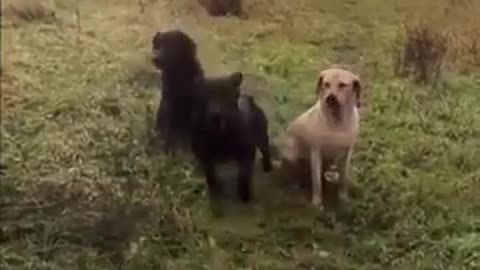 Where one goes we all go!!