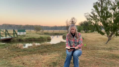 Morning Prayer, Daily Office