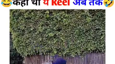 Learning martial arts on tiktok