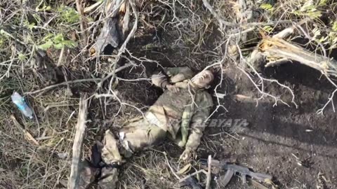 Ukraine Russia conflict /SMO/war combat footage 11/4/2025