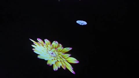 Manar Abu Dhabi’s light installations across Jubail Island and Souq Al Mina.