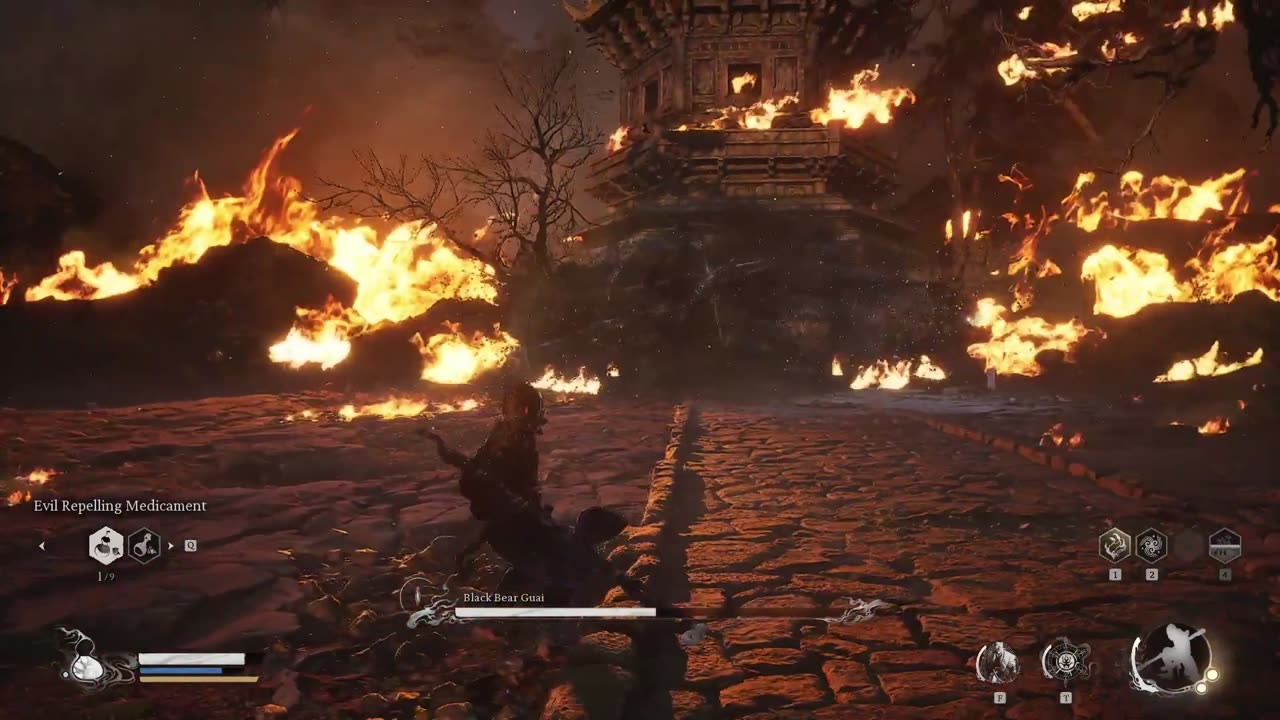 Wukong VS Black Bear Guai - Black Myth.