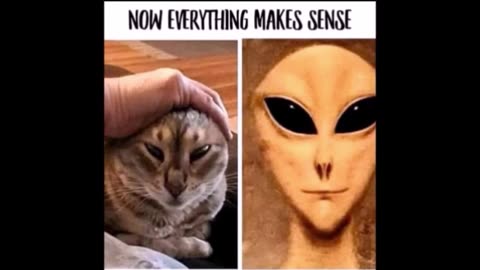 Best Funny LOL Memes Jokes Cartoons 2023-2025 Pt. 2