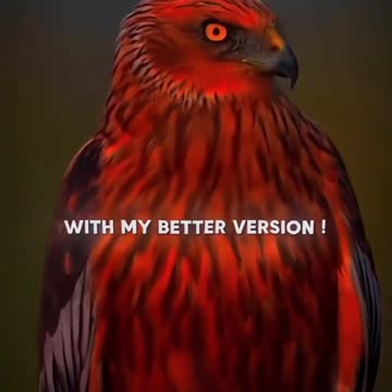 Eagle Attitude status for boys #shorts 🦅🦅🦅🦅