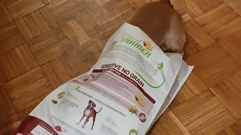 What About Second Breakfast?