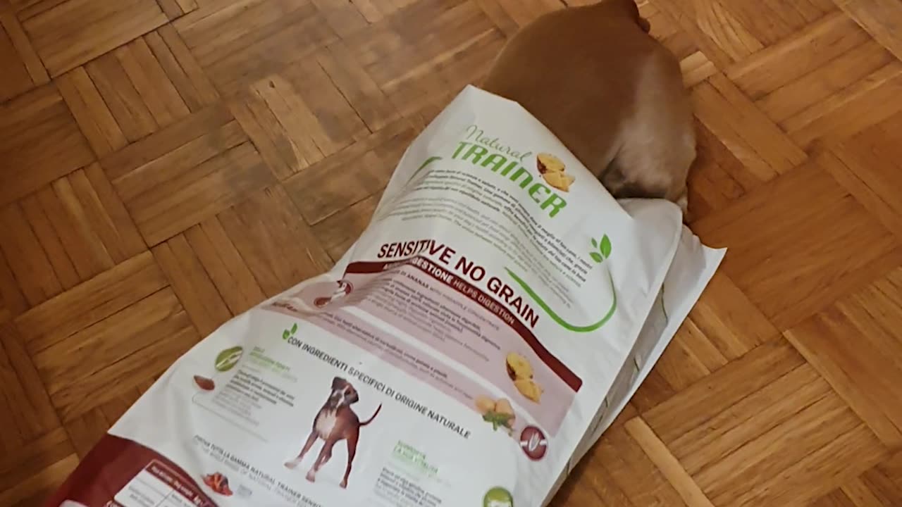 What About Second Breakfast?