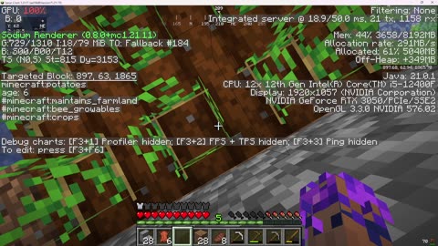 try for longest minecraft speedrun