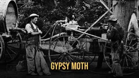 In Jefferey Jaxen Investigates: Polio — The Founding Myth of Modern Medicine