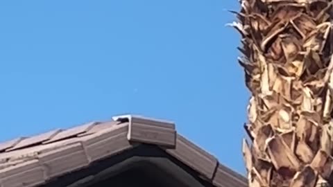 👁️🛸 Mysterious Object Spotted Over Las Vegas! | TheTruthAbove